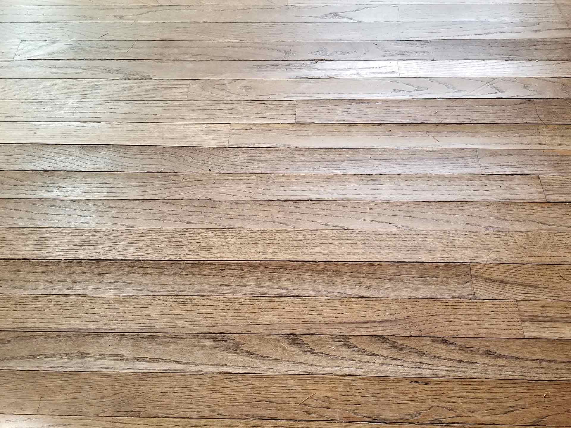 Buckling Floors