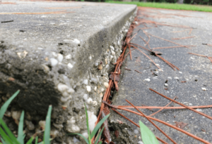 A sidewalk slab out of place in need of concrete repair