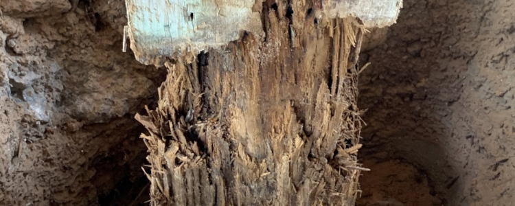 wood pile repair before